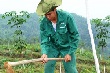 Lãnh đạo tỉnh Lai Châu, Hà Giang và Yên Bái cam kết tiếp tục tạo điều kiện phát triển cao su
